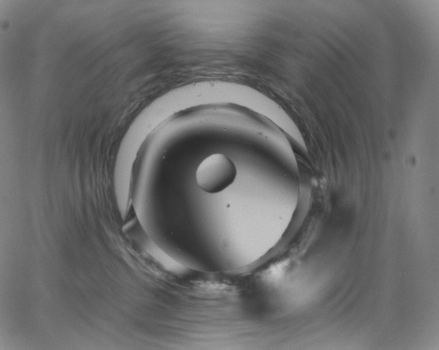 X0000063470380200601201317