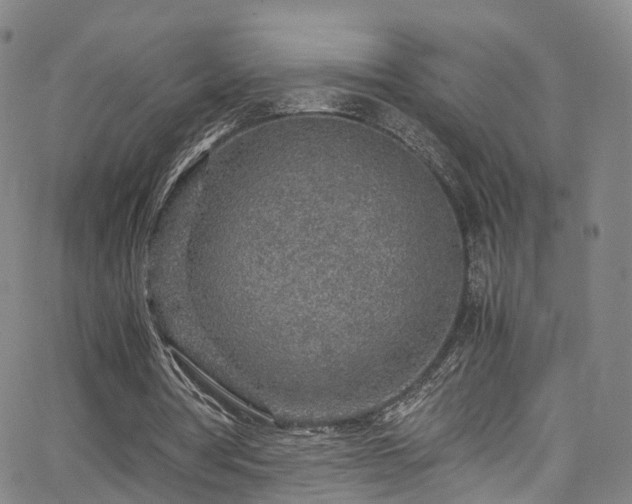 X0000063470386200601201316