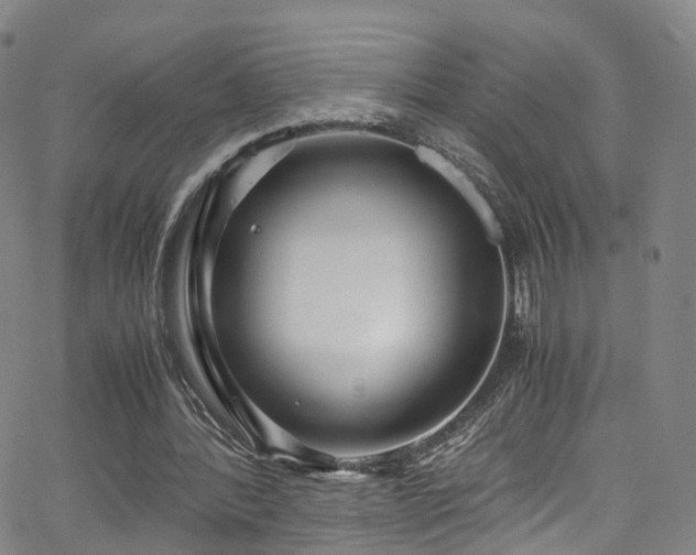 X0000063470388200601201316