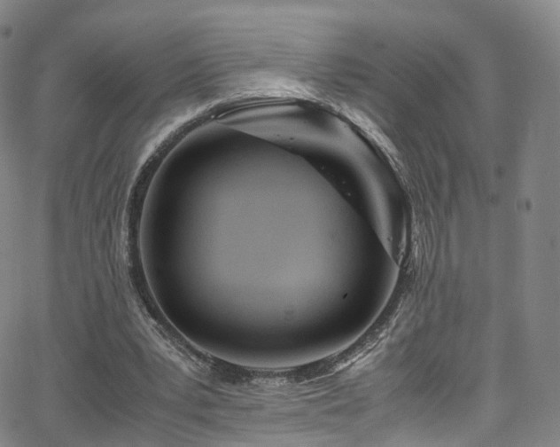 X0000063470391200601201316