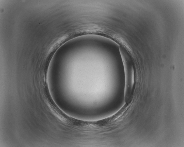 X0000063470397200601201316