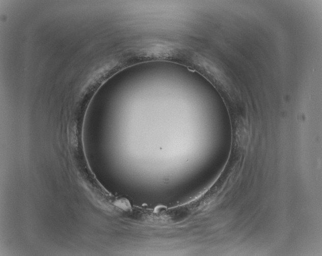 X0000063470403200601201316