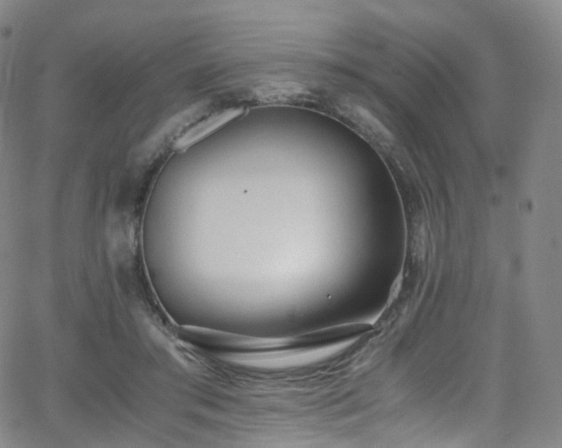 X0000063470405200601201316