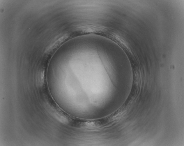 X0000063470406200601201316