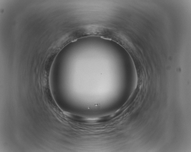 X0000063470413200601201316