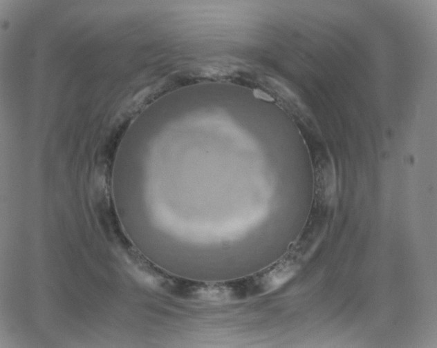 X0000063470415200601201316