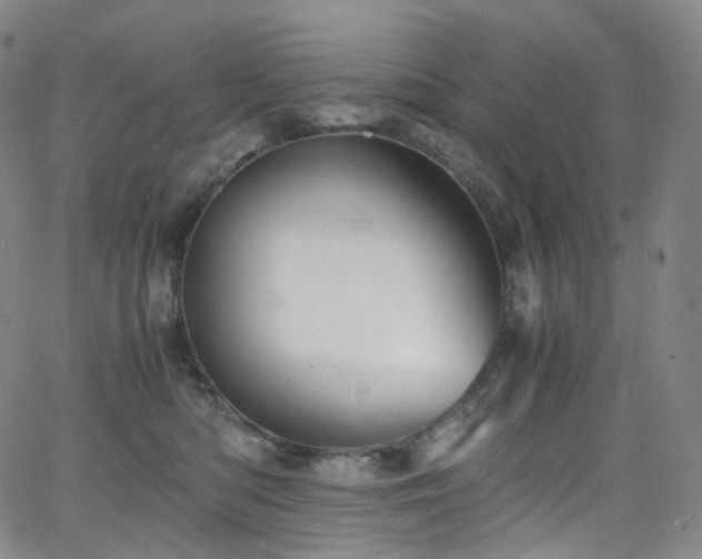 X0000063470422200601201316