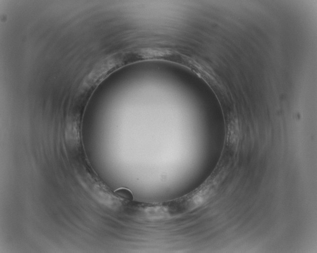 X0000063470426200601201316