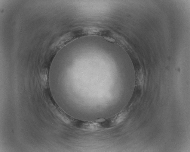 X0000063470427200601201316