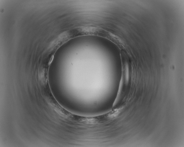 X0000063470428200601201316