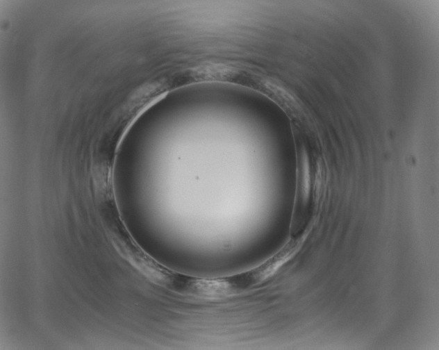 X0000063470429200601201316