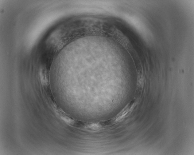 X0000063470431200601201316