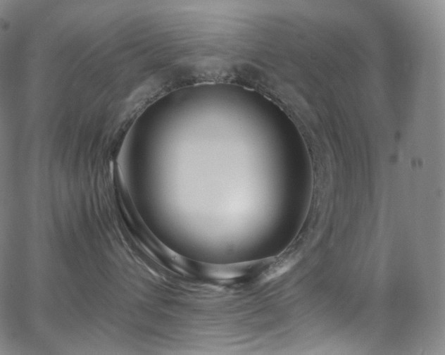 X0000063470432200601201316
