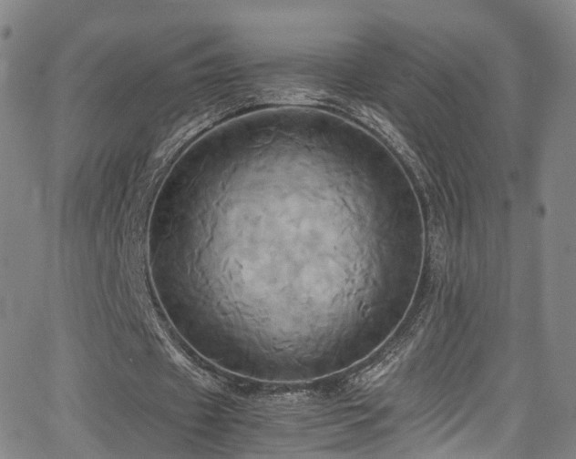 X0000063470433200601201315