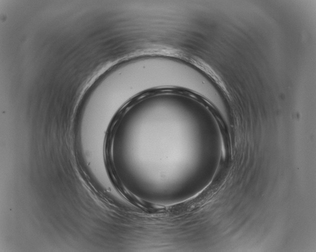 X0000063470436200601201315