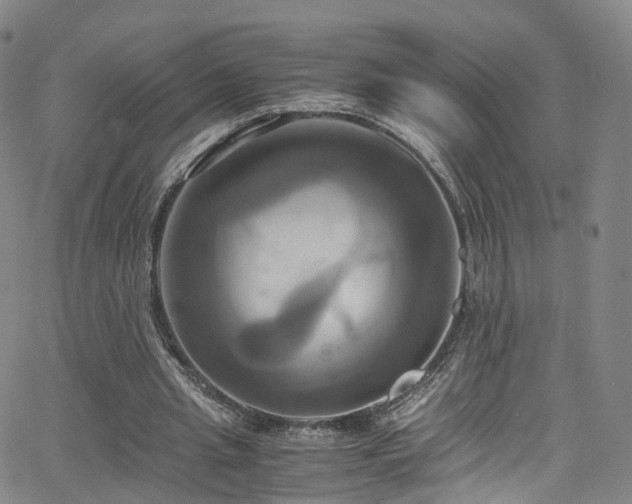 X0000063470437200601201315