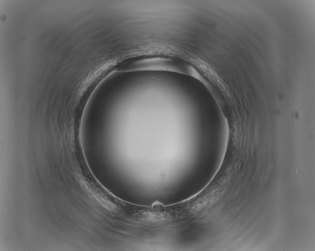 X0000063470442200601201315
