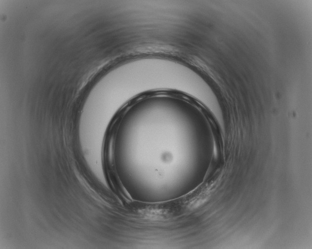X0000063470448200601201315