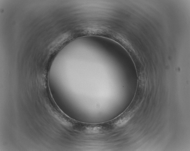 X0000063470450200601201315
