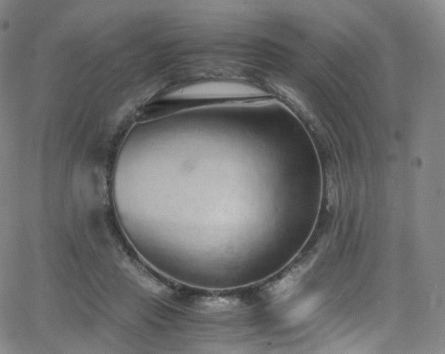 X0000063470453200601201315