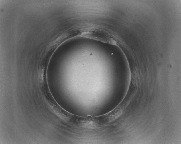 X0000063470454200601201315