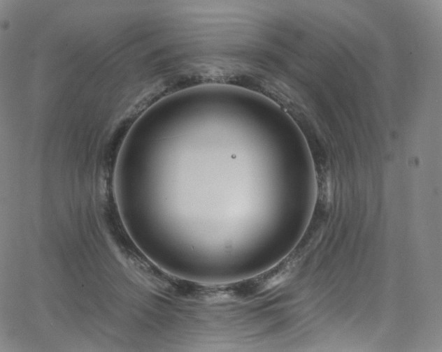 X0000063470456200601201315