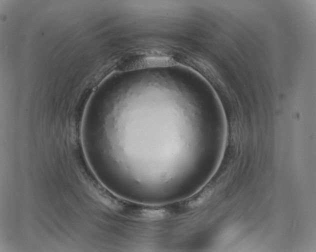 X0000063470457200601201315