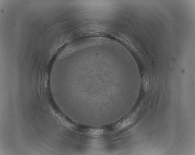 X0000063470458200601201315