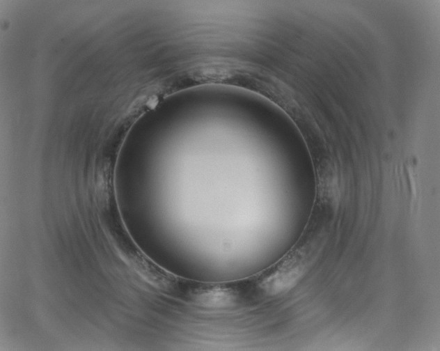 X0000063470460200601201315