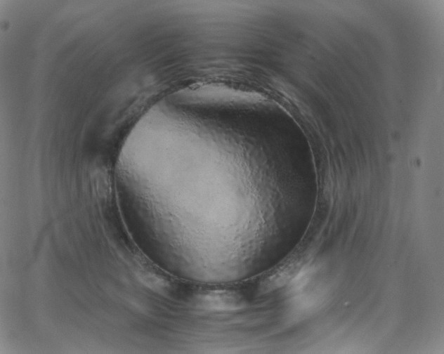X0000063470467200601201315