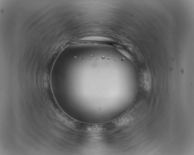 X0000063470470200601201315