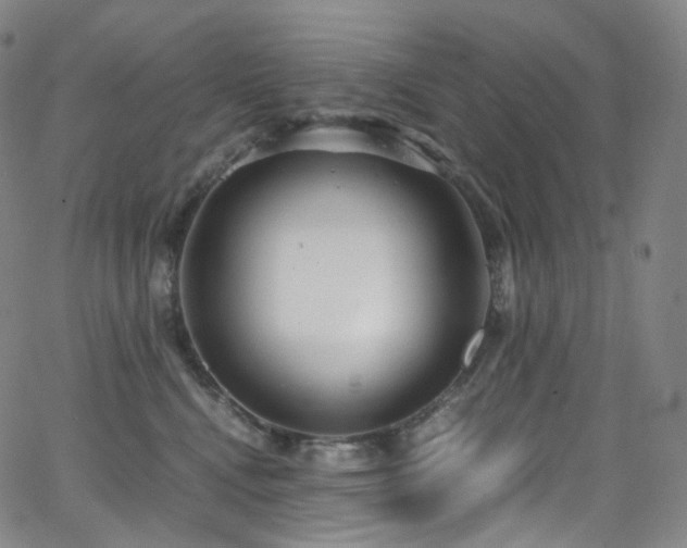 X0000063470472200601201315