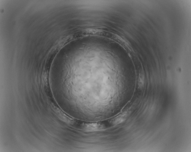 X0000063470473200601201315