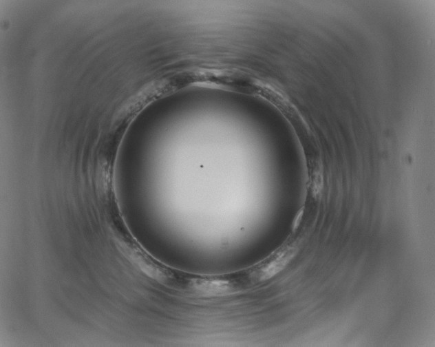 X0000063470476200601201315