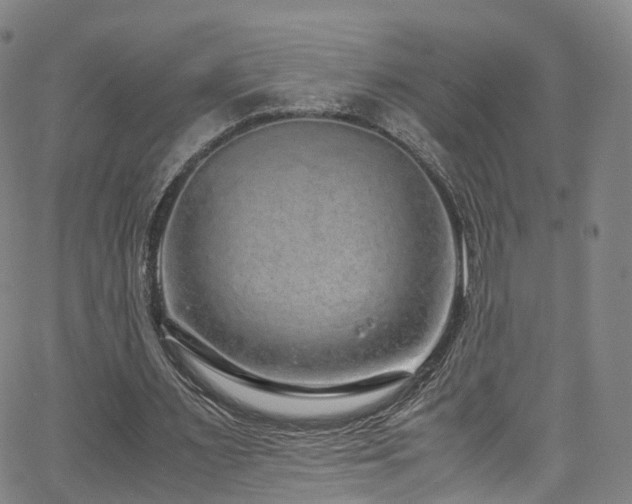 X0000063470483200601201315