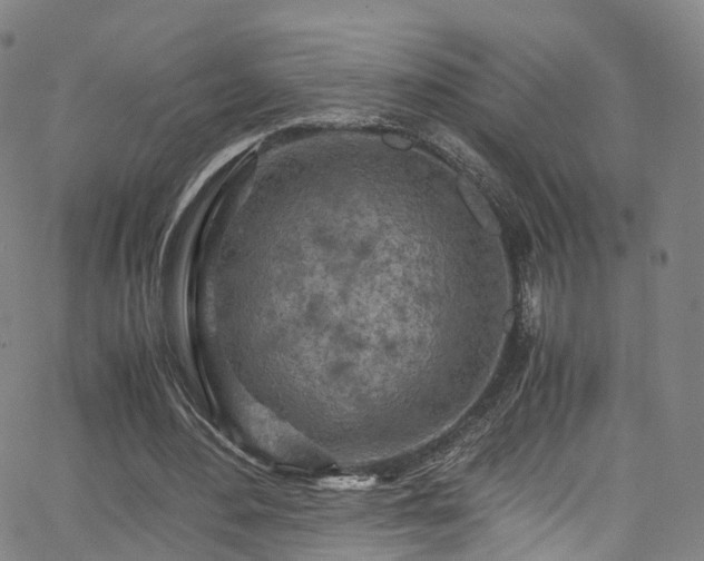 X0000063470484200601201315