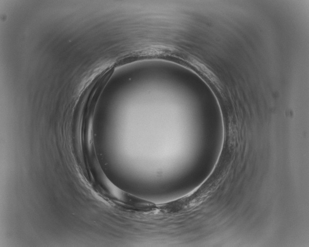 X0000063470485200601201315
