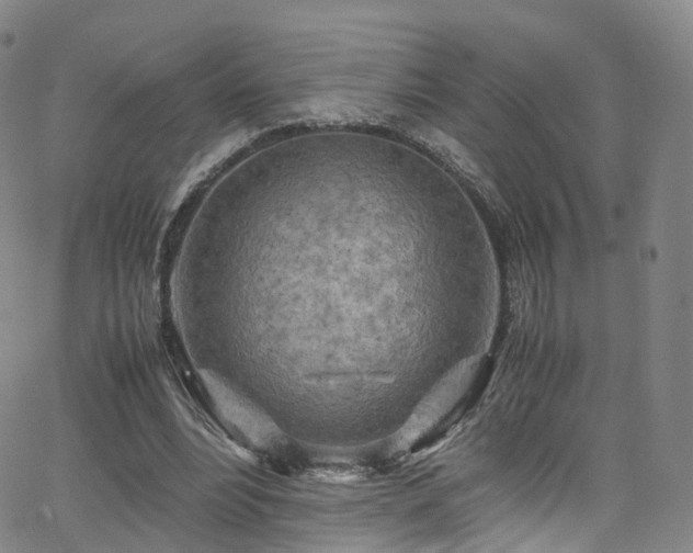 X0000063470488200601201315