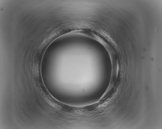 X0000063470489200601201315