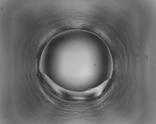 X0000063470493200601201315