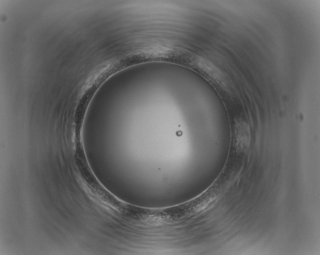 X0000063470494200601201315