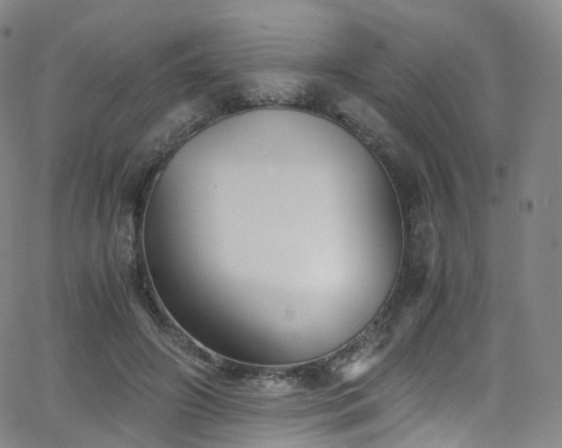 X0000063470498200601201315