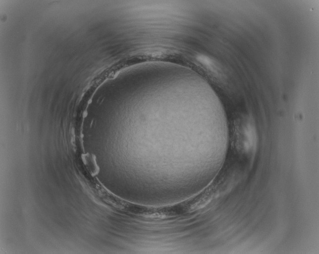 X0000063470500200601201314