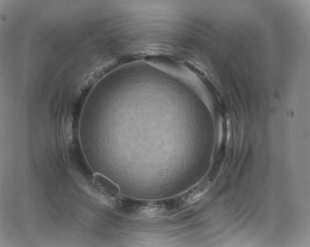 X0000063470504200601201314