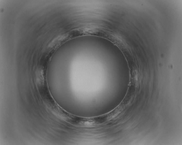 X0000063470506200601201314