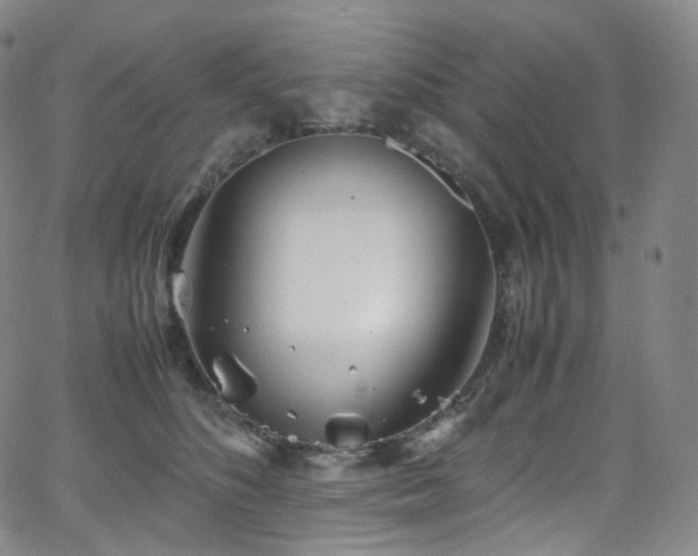 X0000063470516200601201314