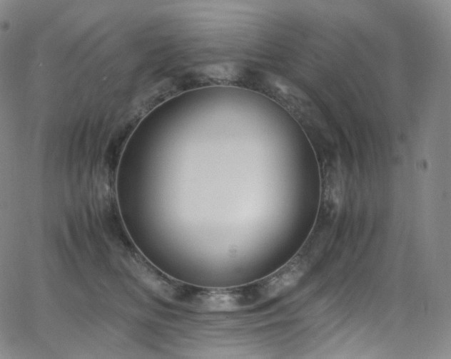 X0000063470518200601201314