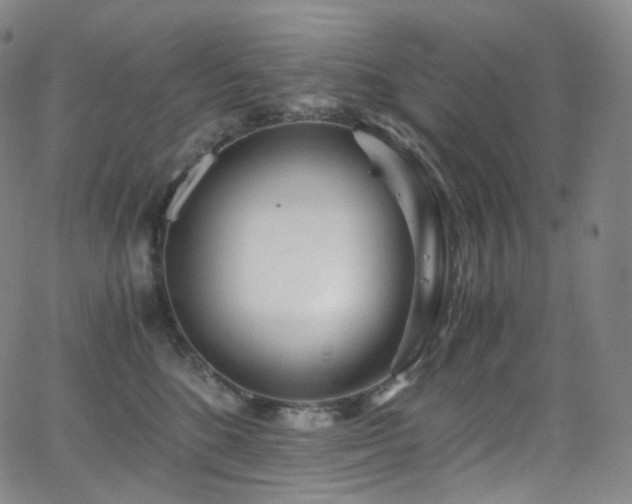 X0000063470520200601201314