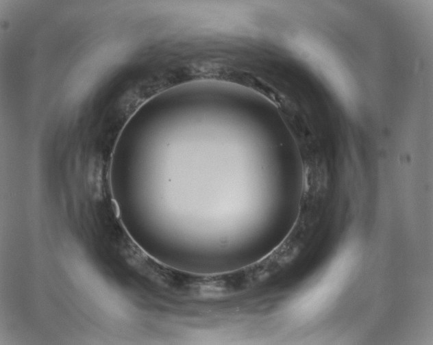 X0000063470525200601201314