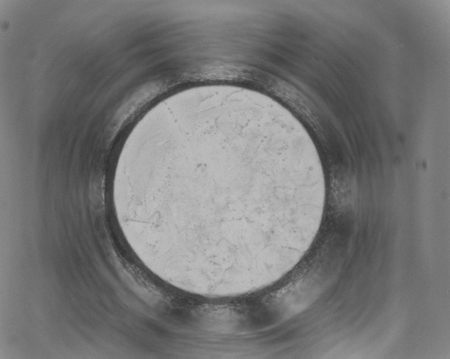 X0000063470534200601201313